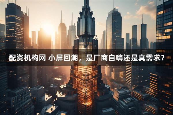 配资机构网 小屏回潮，是厂商自嗨还是真需求？