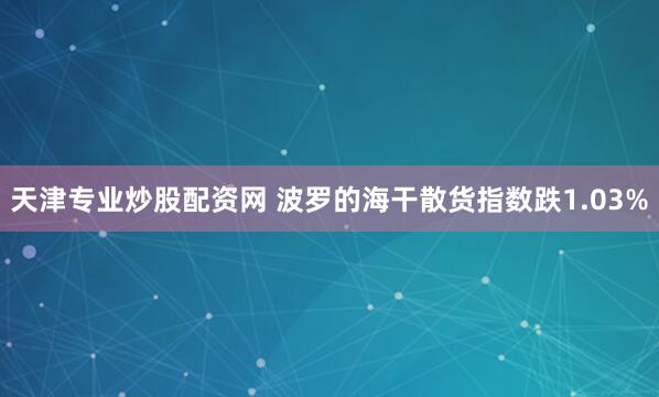 天津专业炒股配资网 波罗的海干散货指数跌1.03%